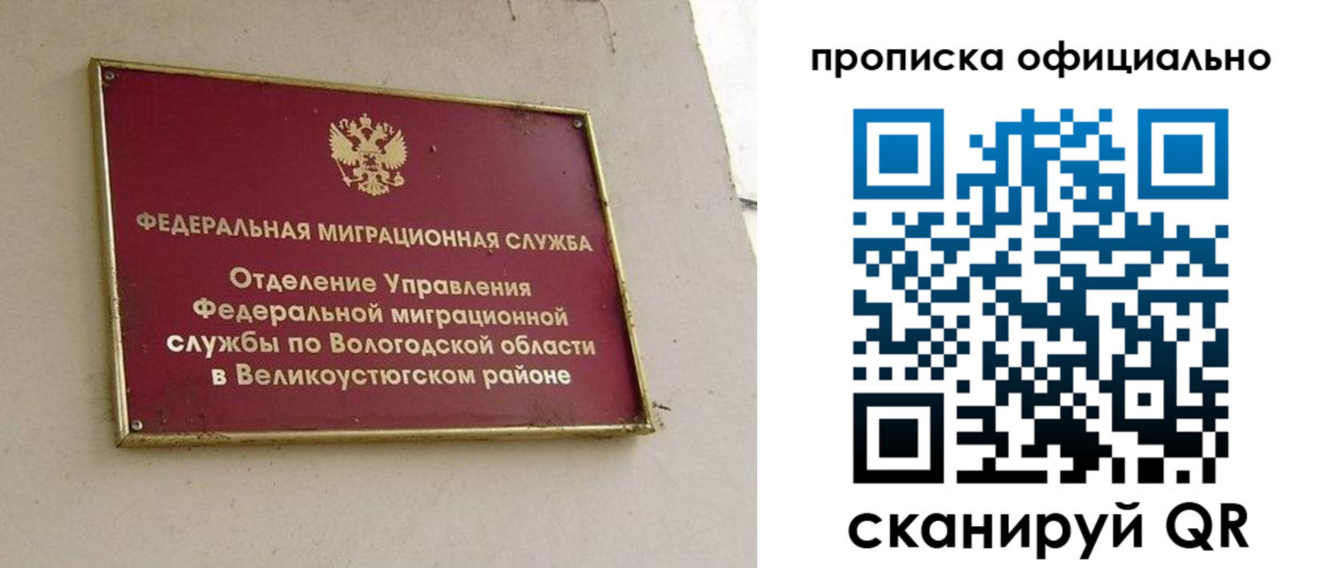 найти адрес прописки в Купино